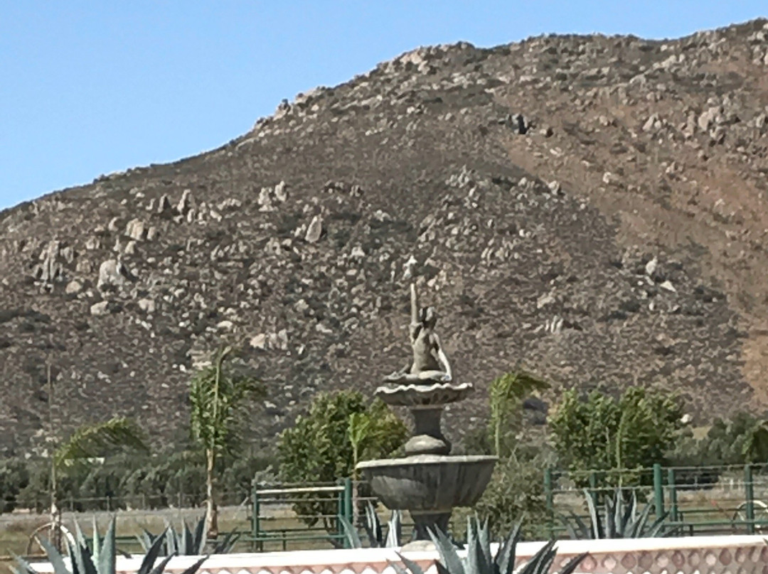 Zoologico Parque del Nino景点图片