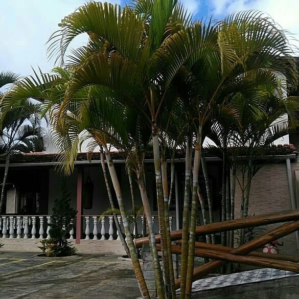 Arco Iris Pousada主图