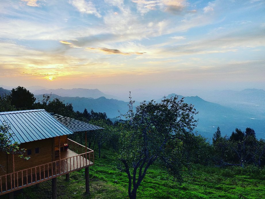 Shafa Resorts Wood House-官方