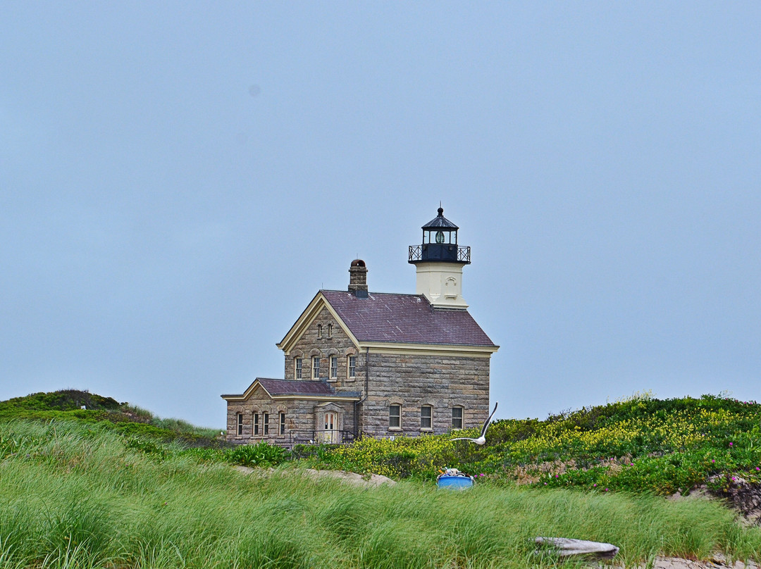 Settler's Rock-新肖勒姆必去景点