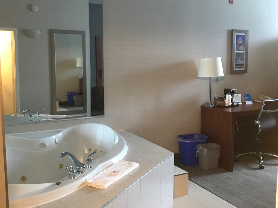 Comfort Inn & Suites Collingwood主图