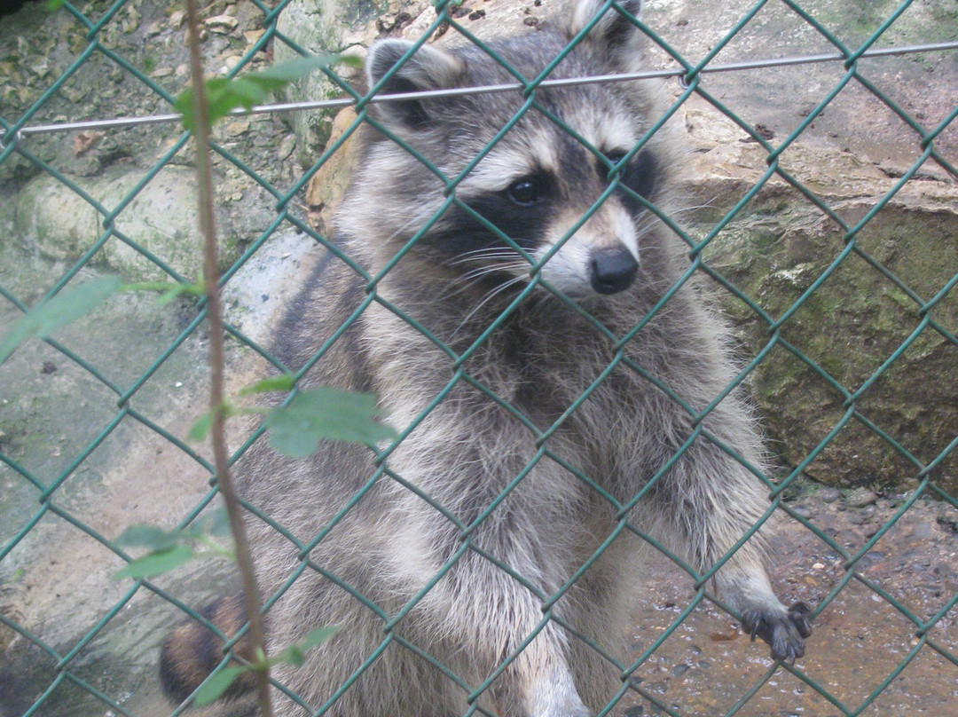 Parc zoologique Bienne-比尔必去景点