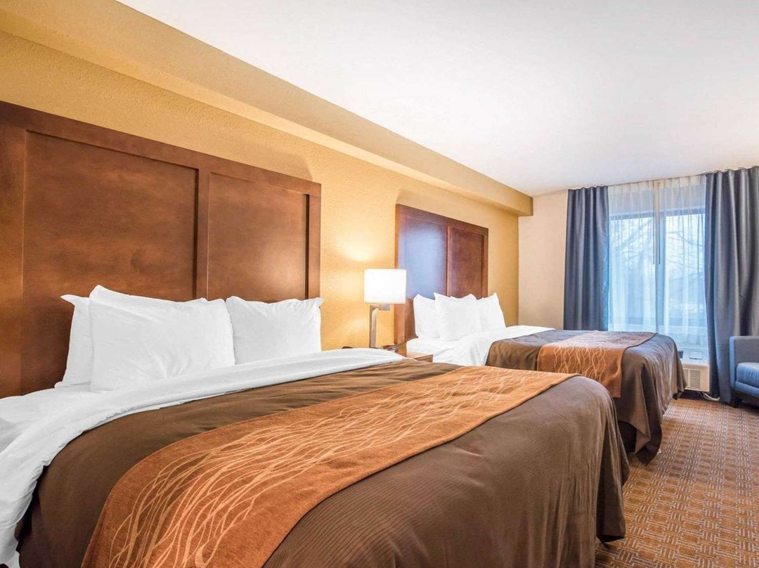 Comfort Inn & Suites Brattleboro I-91主图