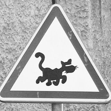 Lyon Insolite景点图片