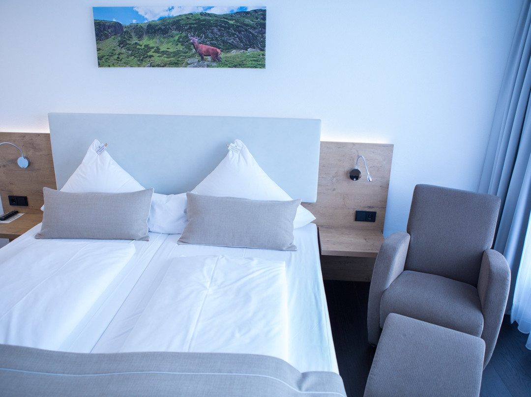 Hotel Zum Hirsch主图