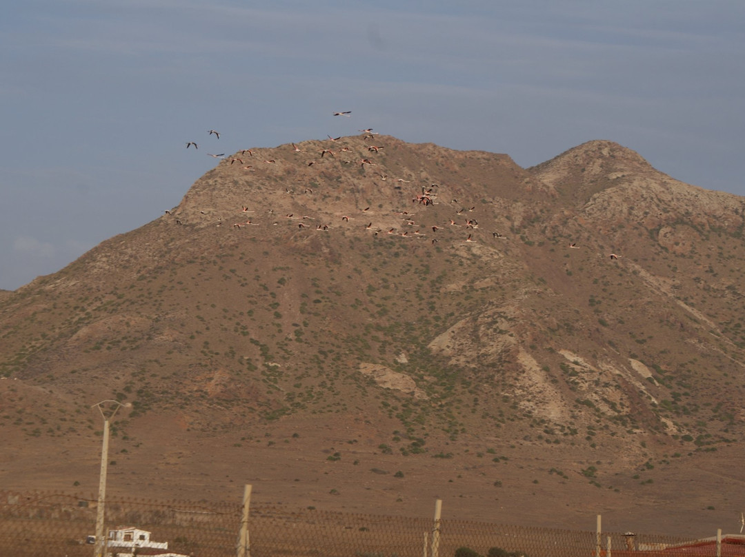 Playa Cabo De Gata景点图片