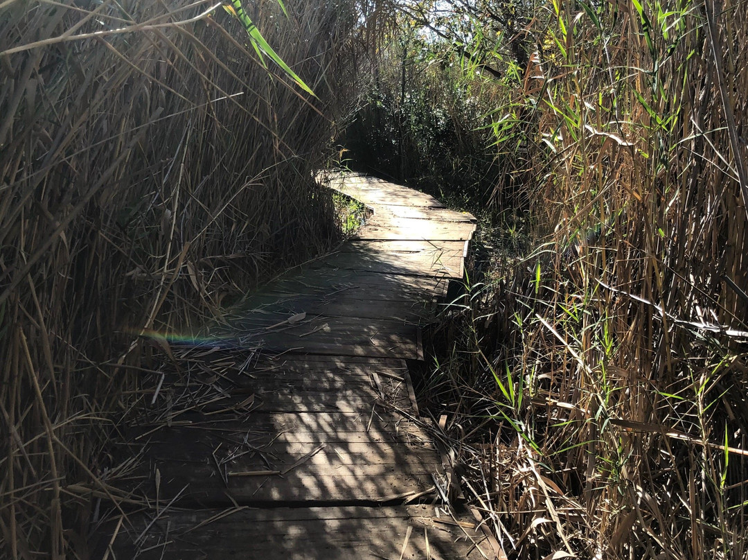 Buffelsdrift MTB Park-比勒陀利亚必去景点