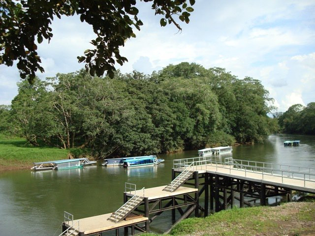 Anhinga Tours景点图片