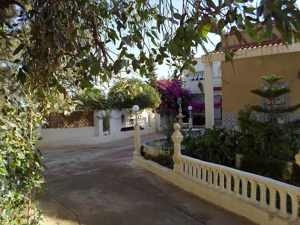 Dar Al Mansoura主图