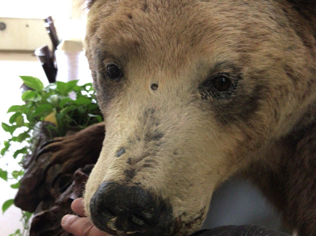 Pinneshirionsen Hotel Bogaksuo主图