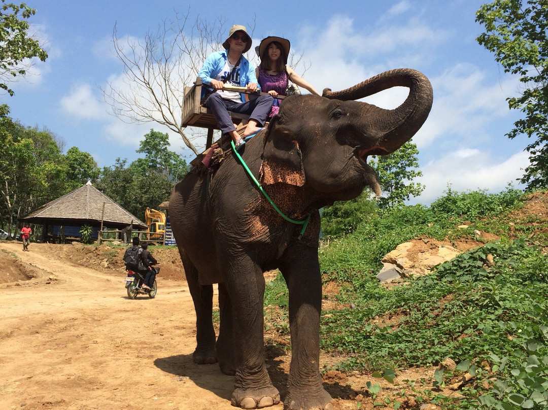 Elephant Riding at Elephant Village-Molagoda必去景点