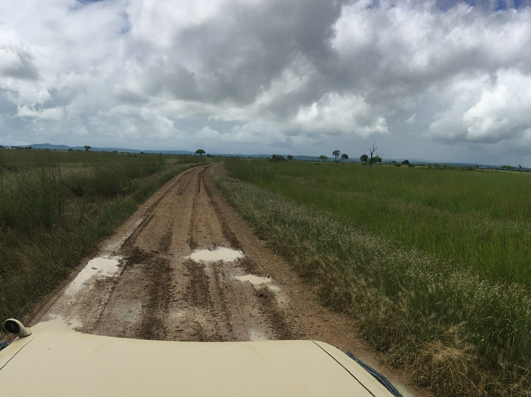 Hisia Safaris-纳库鲁必去景点