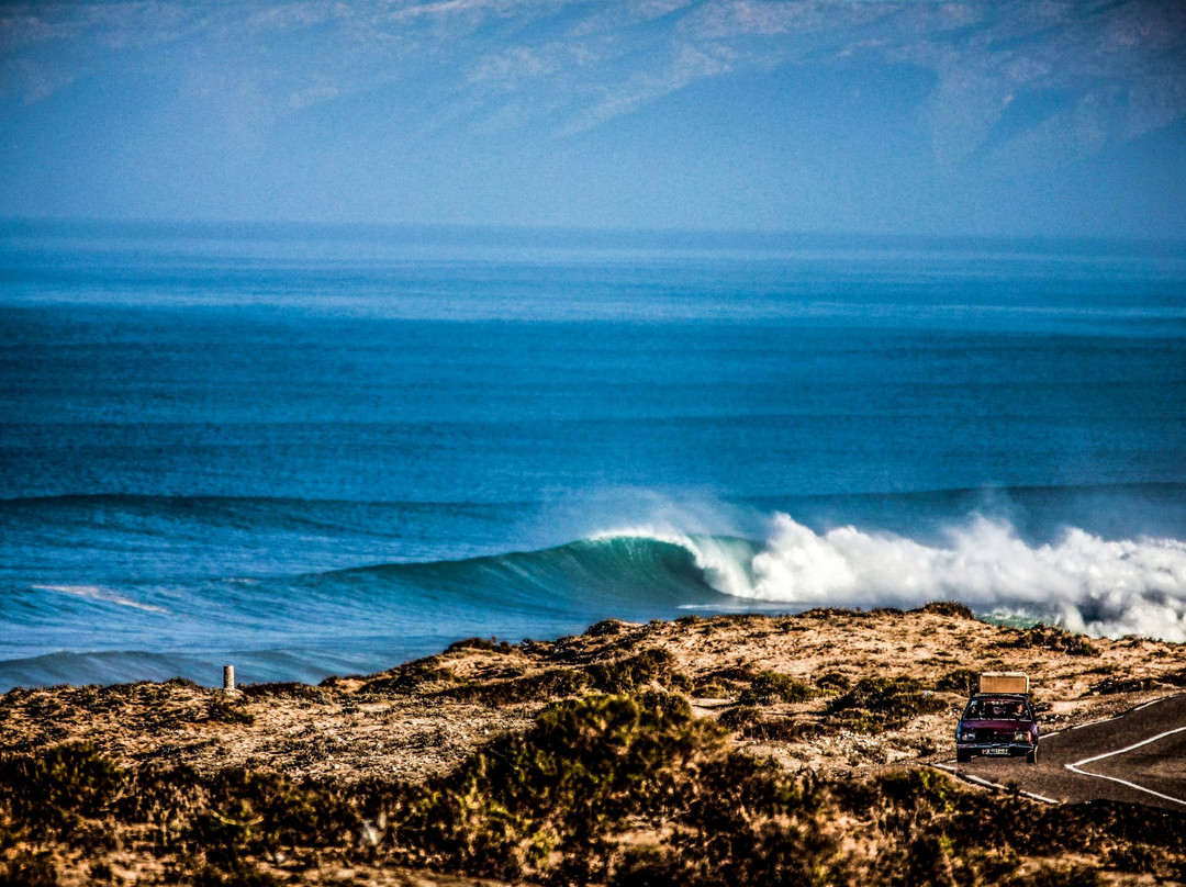 The Surf Hotel