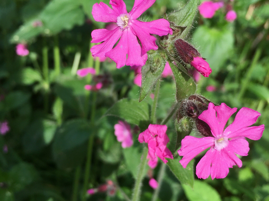 Margarethenschlucht-Neckargerach必去景点
