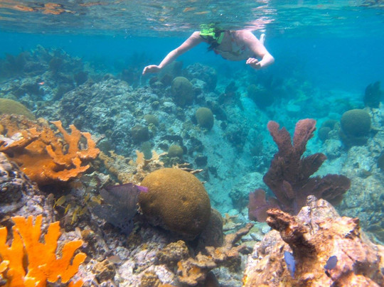 Bama Breeze VI-夏洛特阿马利亚必去景点