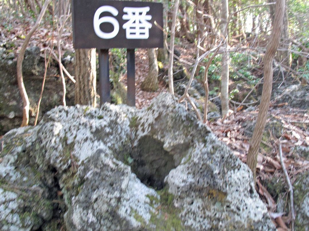 Narusawa's Tree Form Lava景点图片