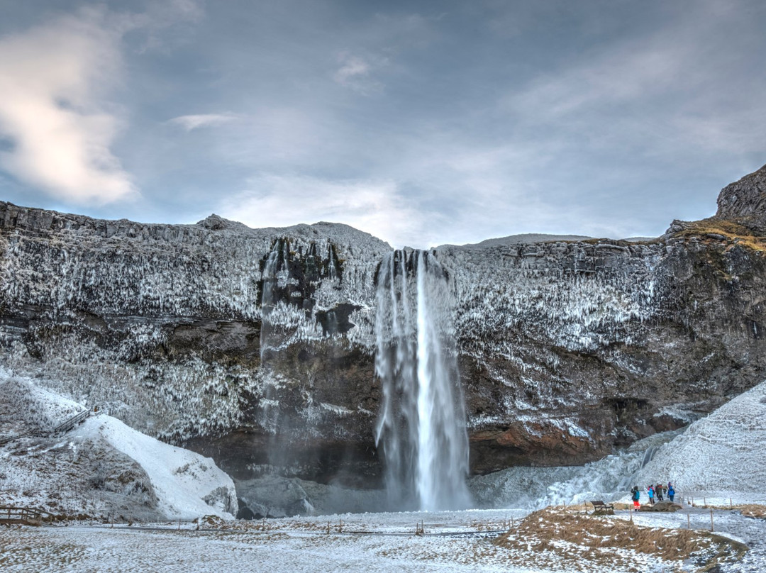 Iceland On The Web-雷克雅未克必去景点