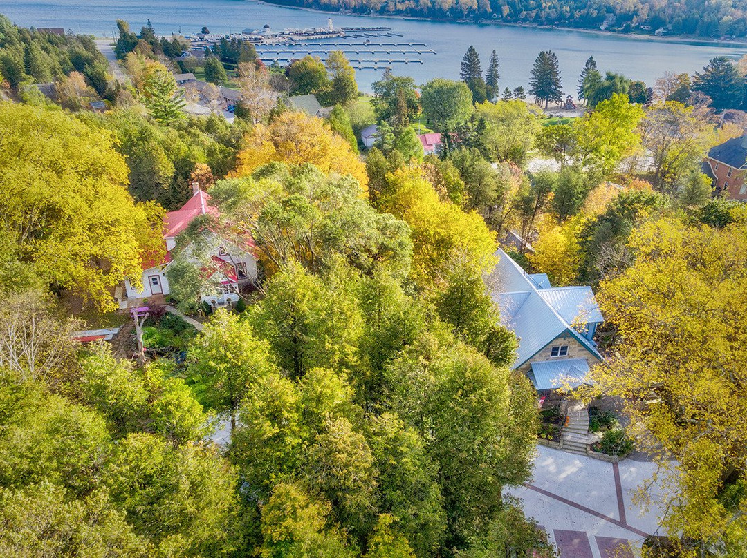 Lionheart Guest House主图