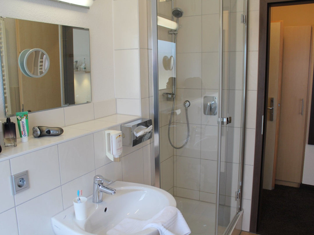 Hotel Berkheimer Hof主图