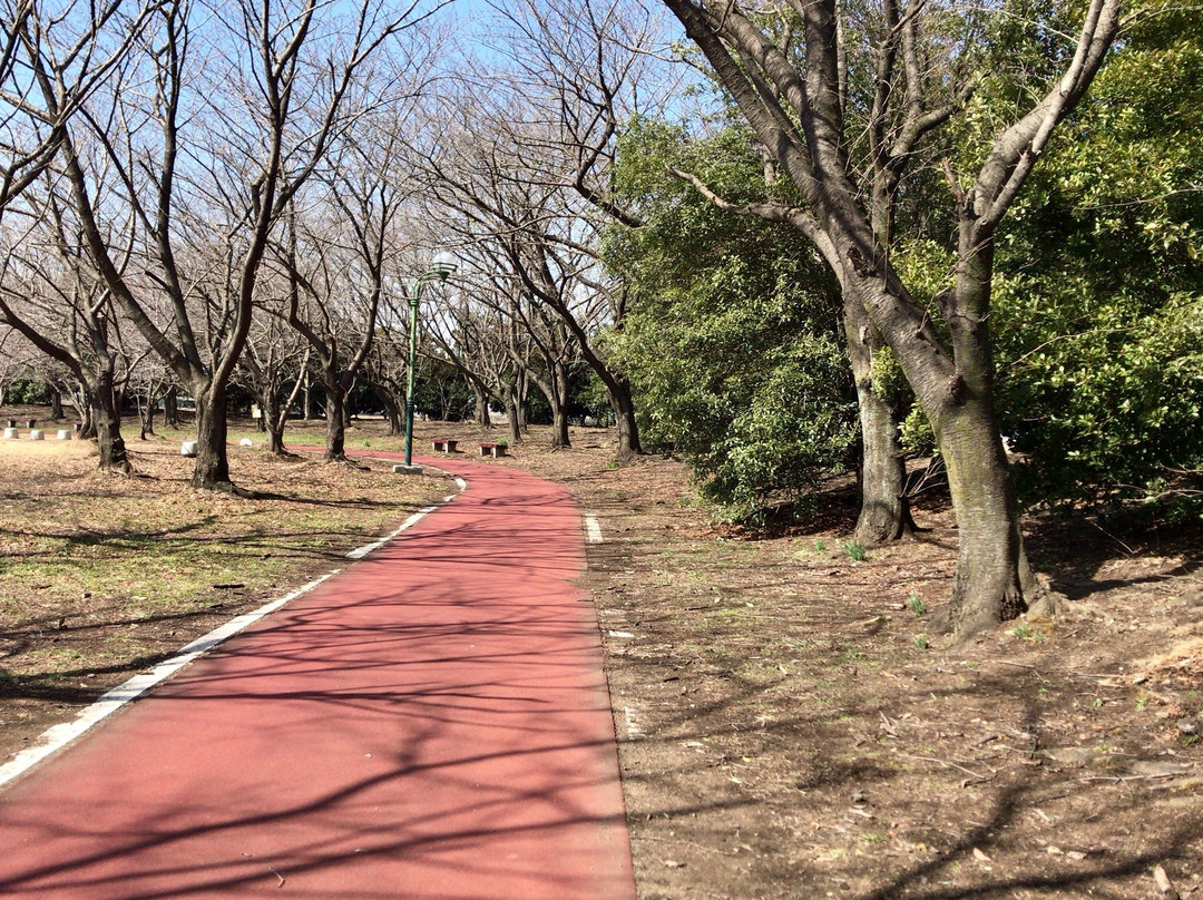 Beppunuma Park-熊谷市必去景点