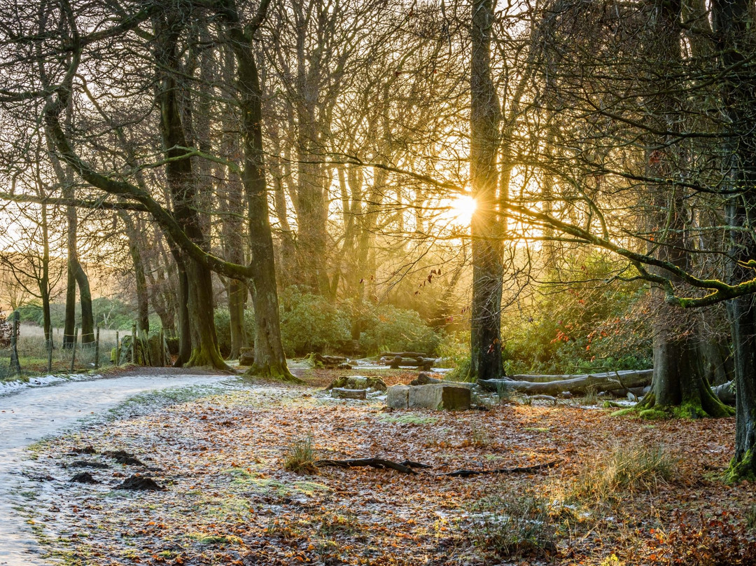 Longshaw Estate景点图片