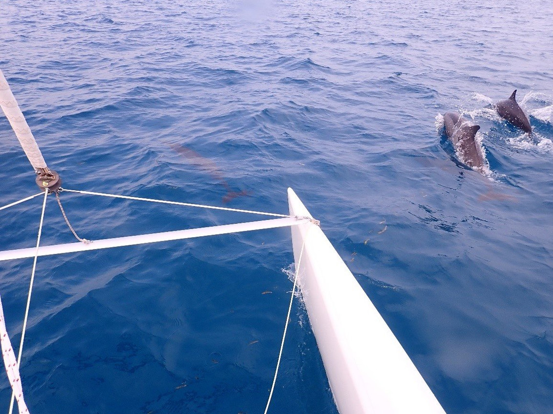 Aqua Blue Fehendhoo Dive & Watersports-Fehendhoo Island必去景点