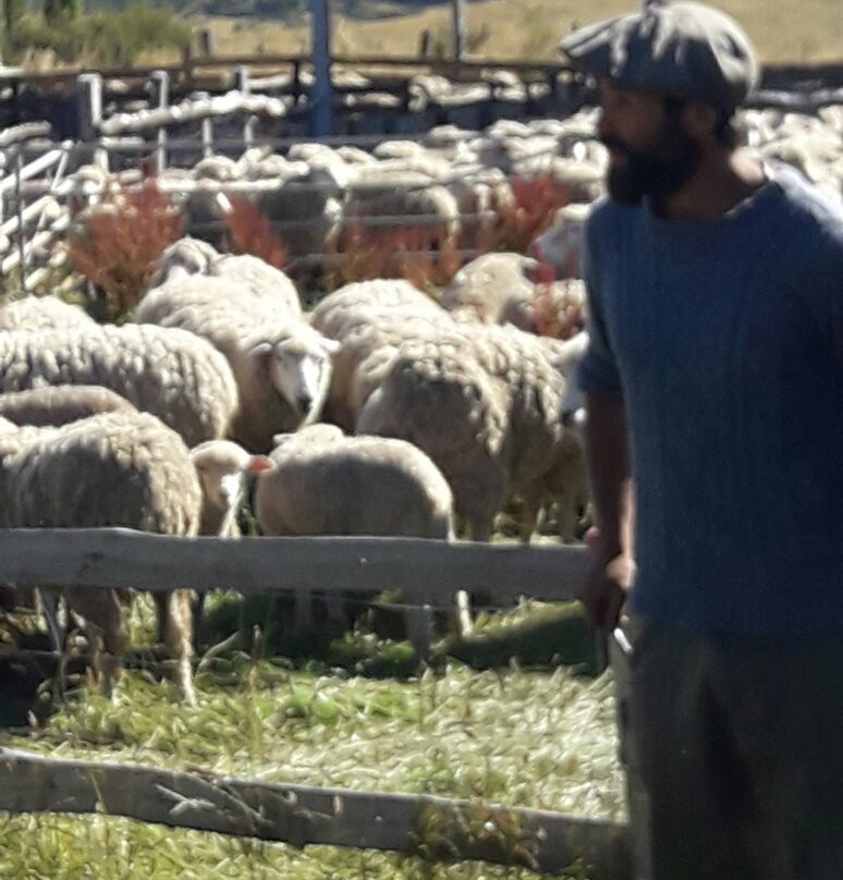 Fundo Panguilemu-Coyhaique必去景点