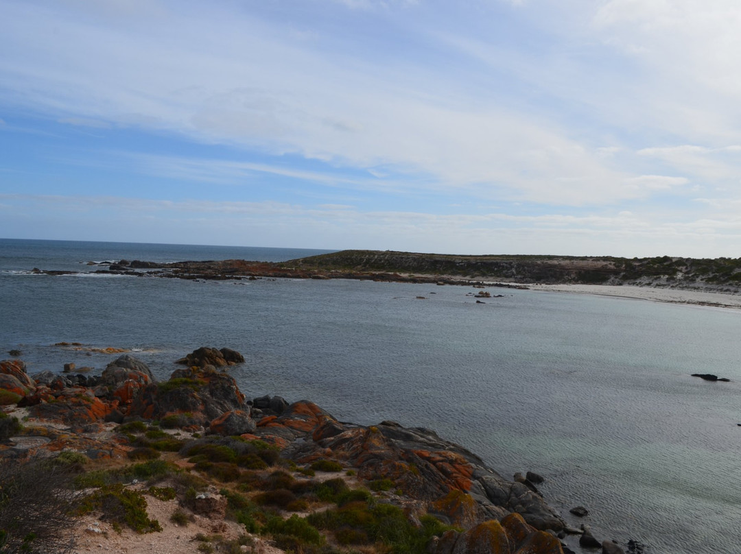 Corny Point旅游攻略图片