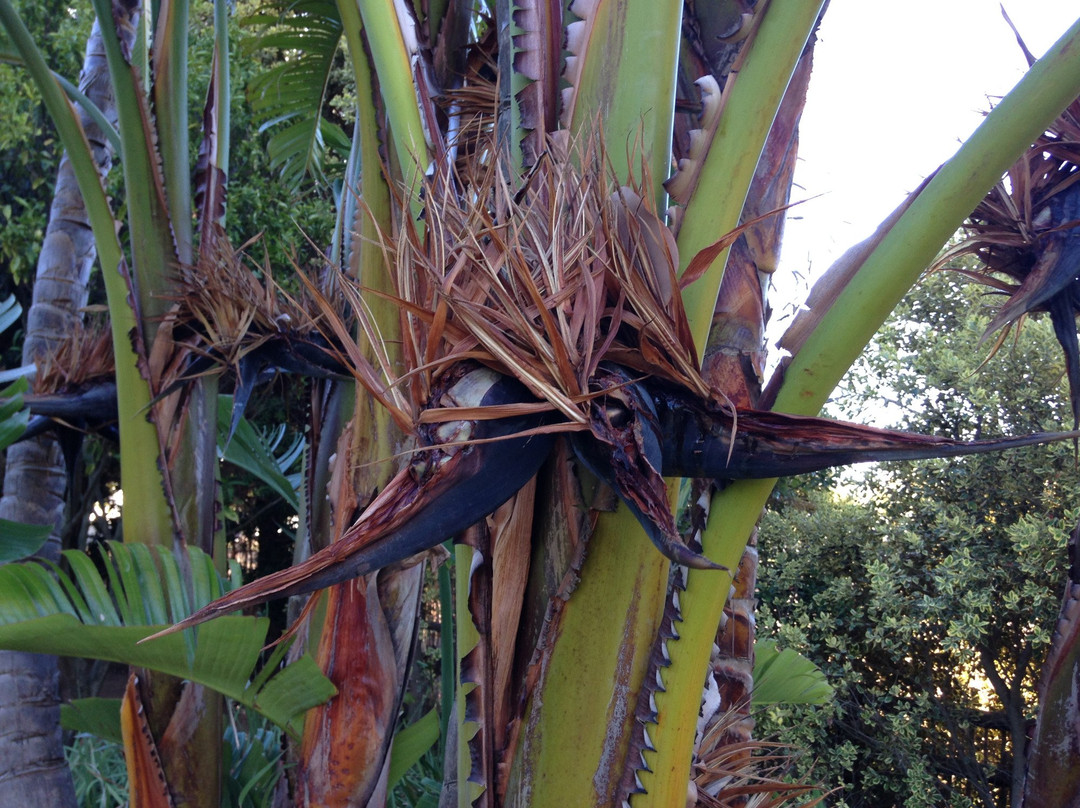 四天堂旅馆主图