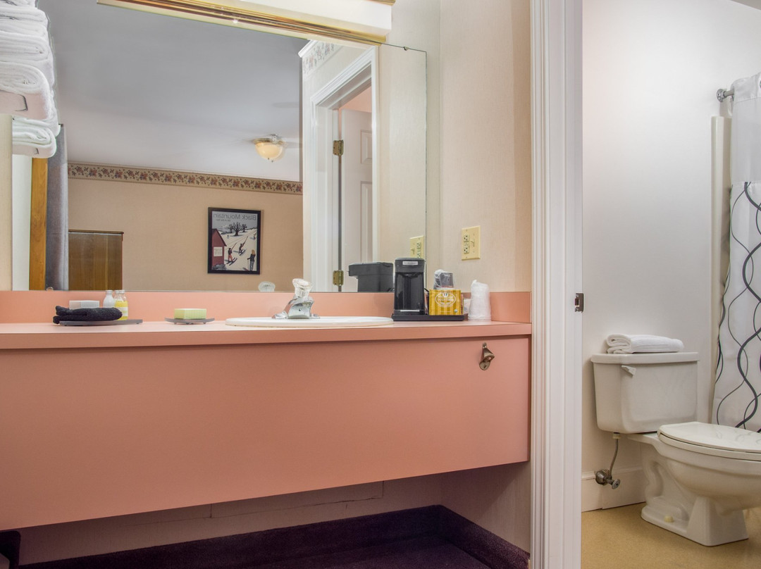 Mountain Village Lodge主图