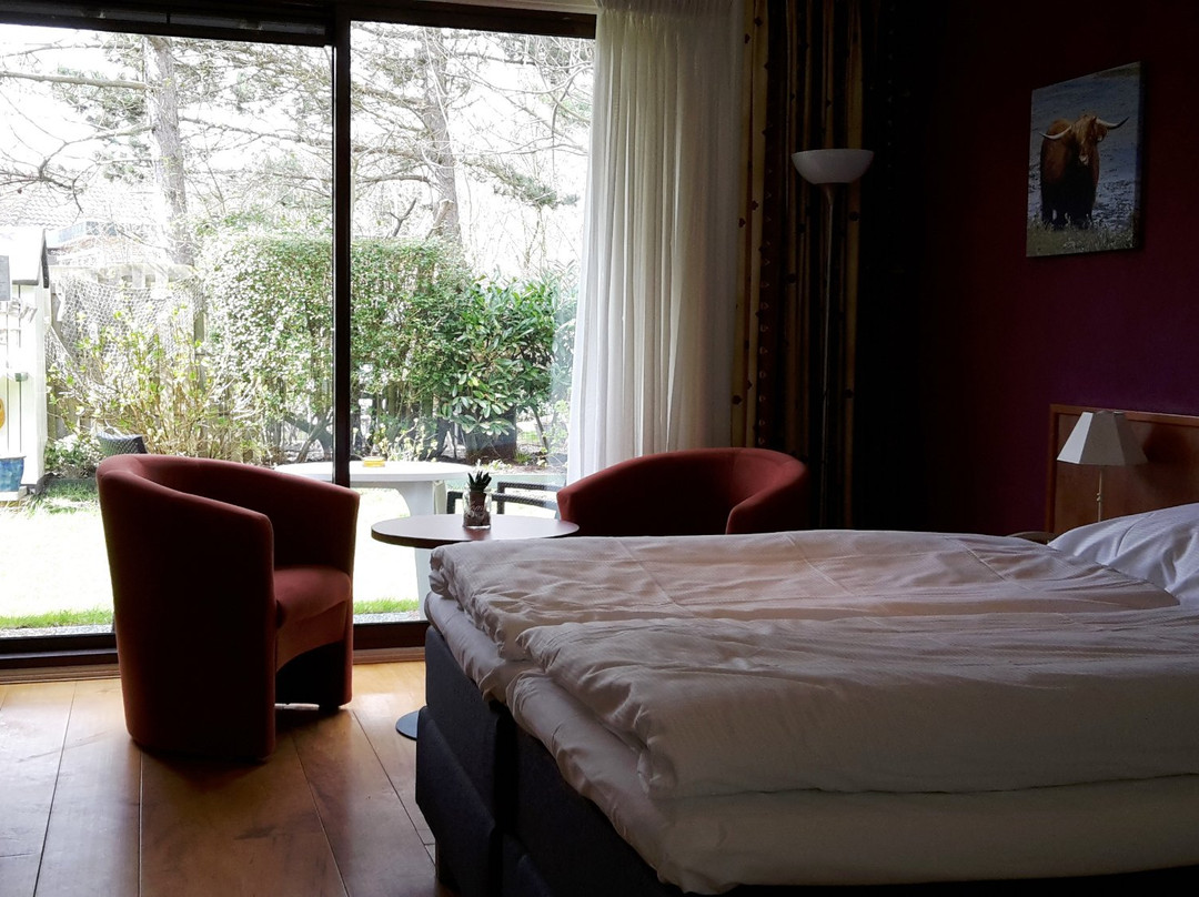 Hotel De Dennen主图