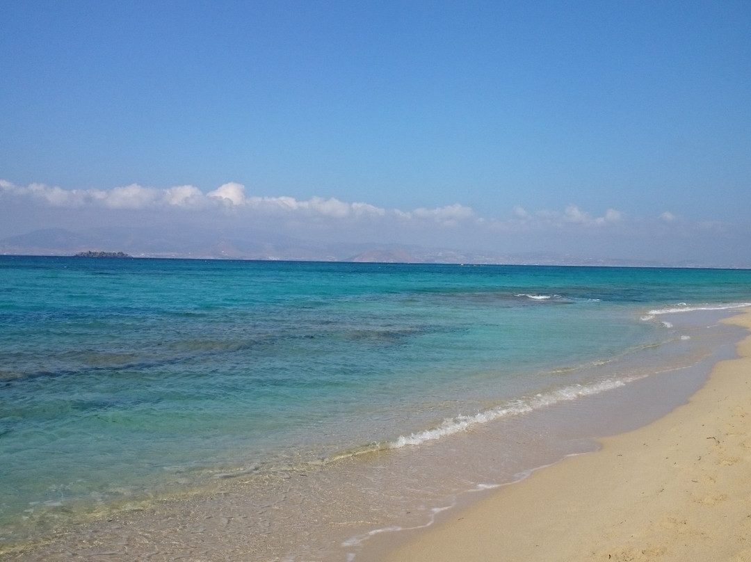 Plaza Beach Hotel主图