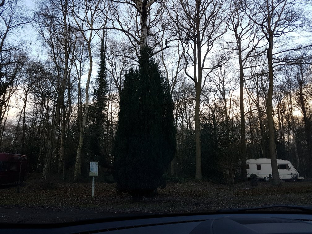 Eriba Glade Campsite