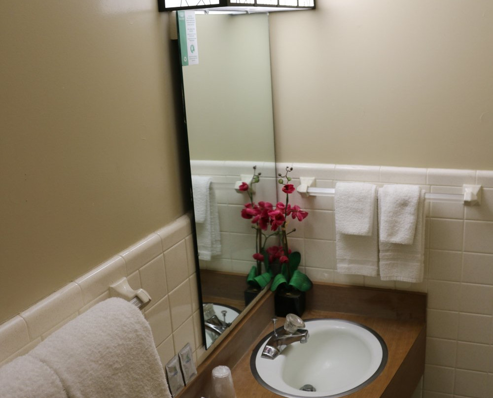 Atlas Motor Lodge主图