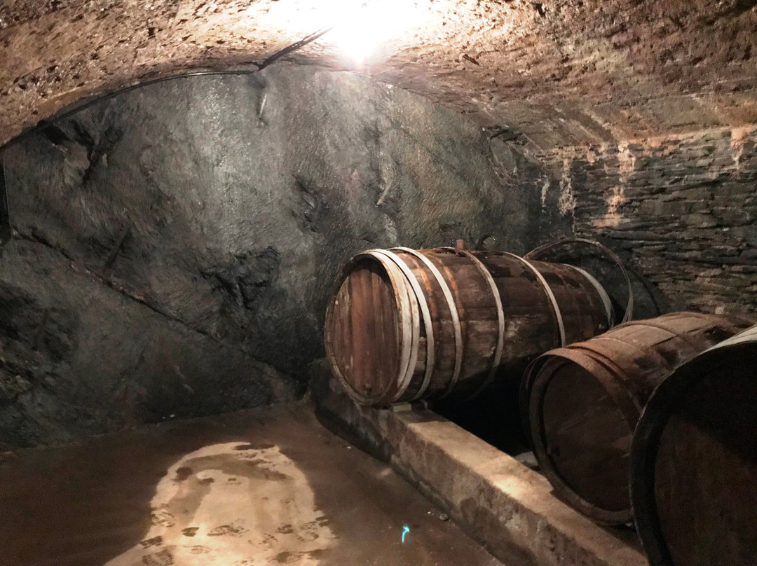Weingut Richard Bocking景点图片