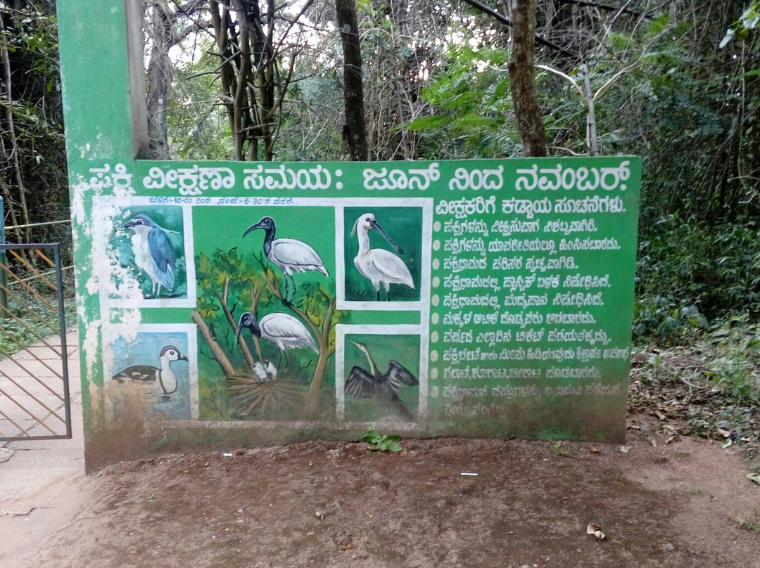 Gudavi Bird Sanctuary景点图片