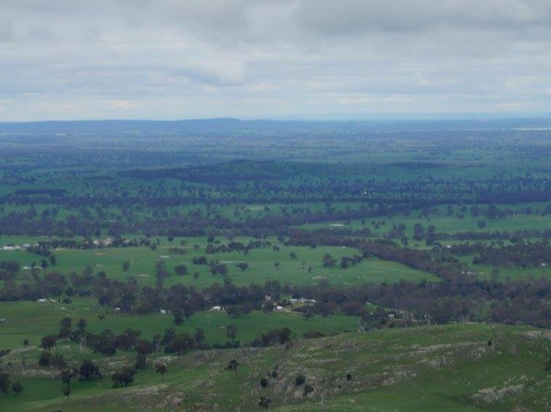 Mount Alexander-Harcourt必去景点