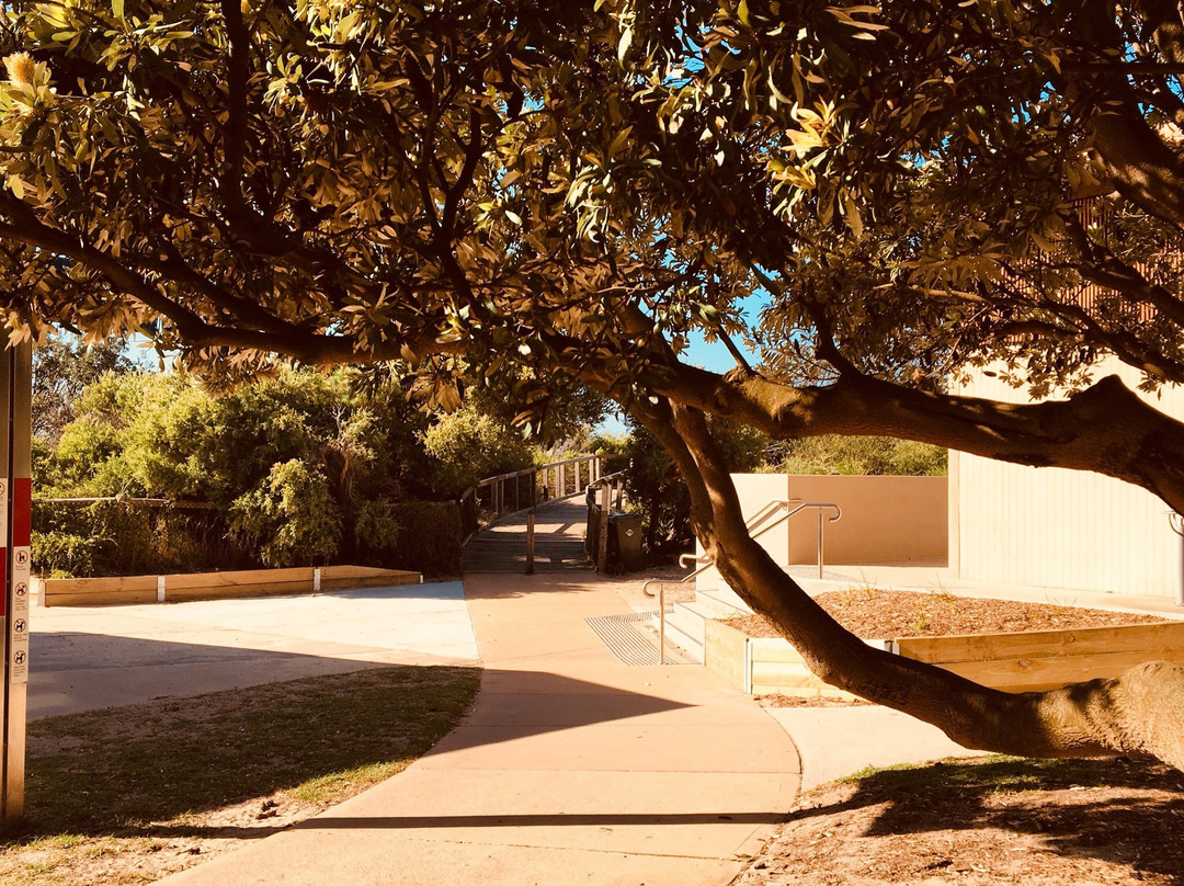 Frankston Regional Foreshore Playground景点图片