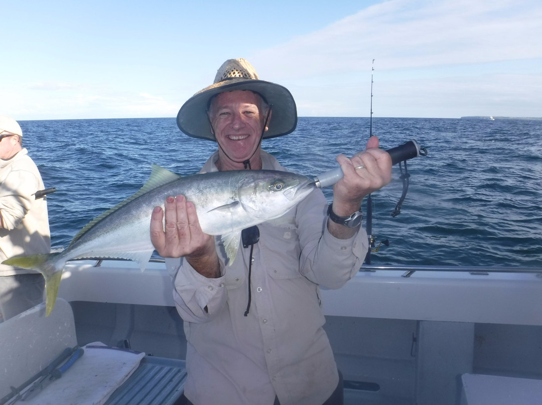 Sydney Sea Charters-巴尔曼必去景点