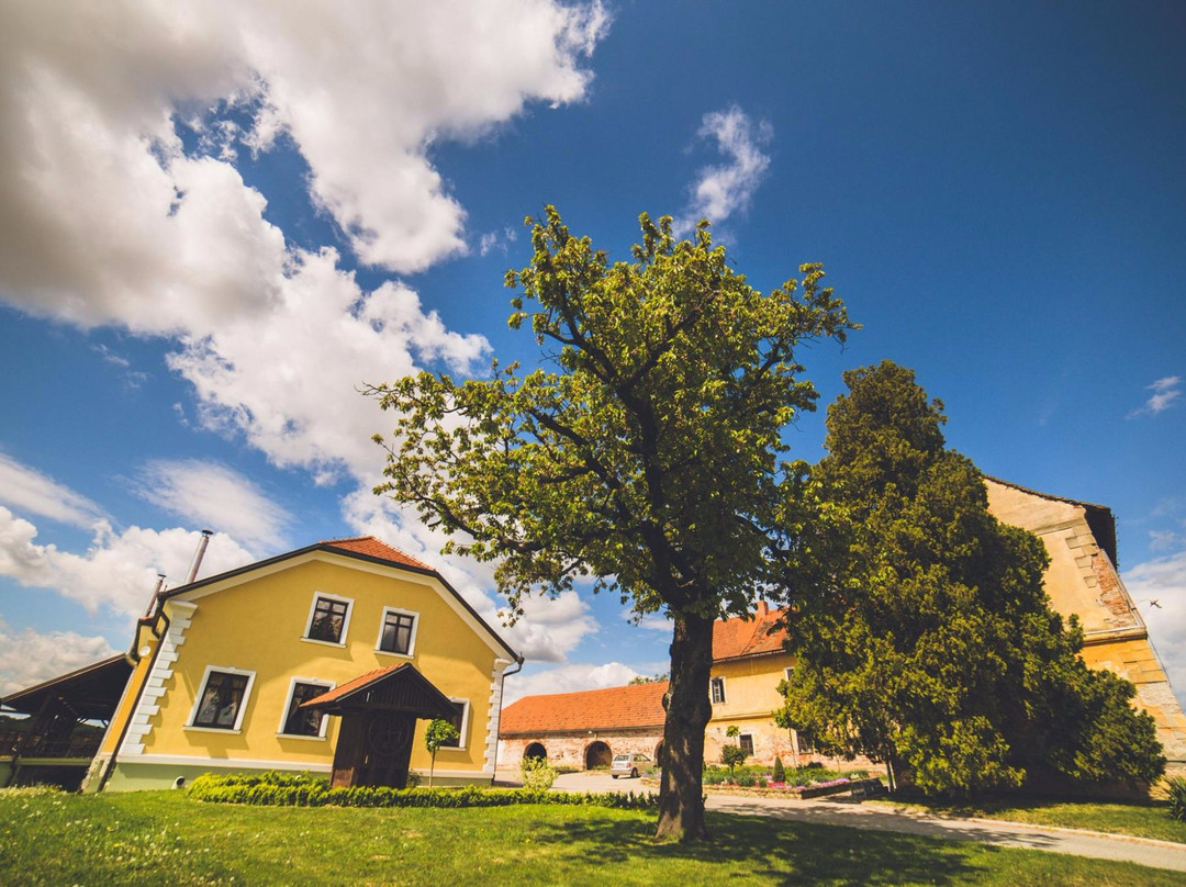 Gornji Koncovcak旅游攻略图片