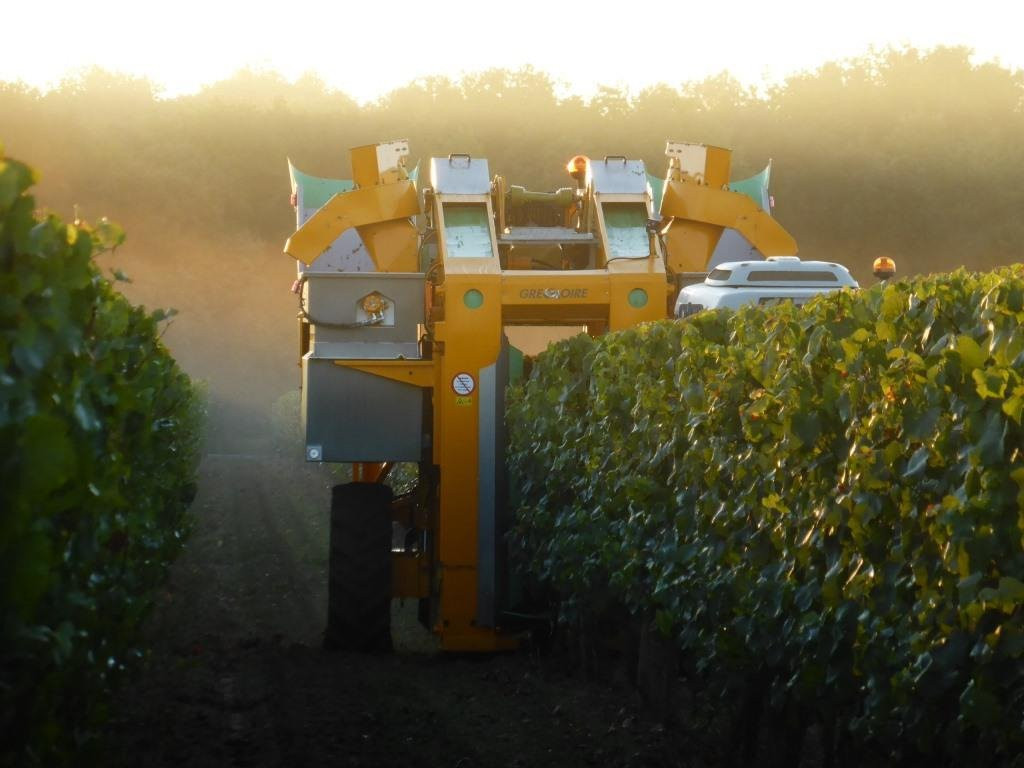 Domaine de la Chauvillière景点图片