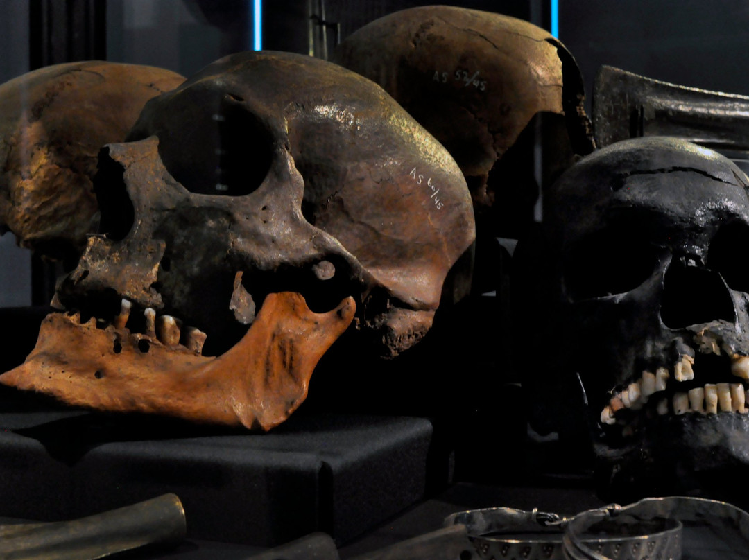 罗斯基勒旅游景点-Roskilde Museum