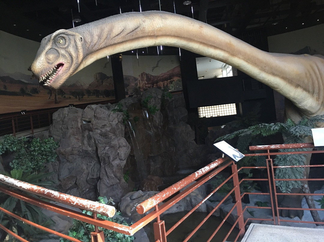 National Geological Museum-空銮必去景点