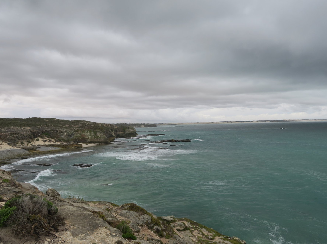 Waenhuiskrans Nature Reserve-Arniston必去景点