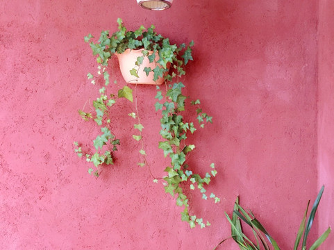 为荷而来精品客栈主图