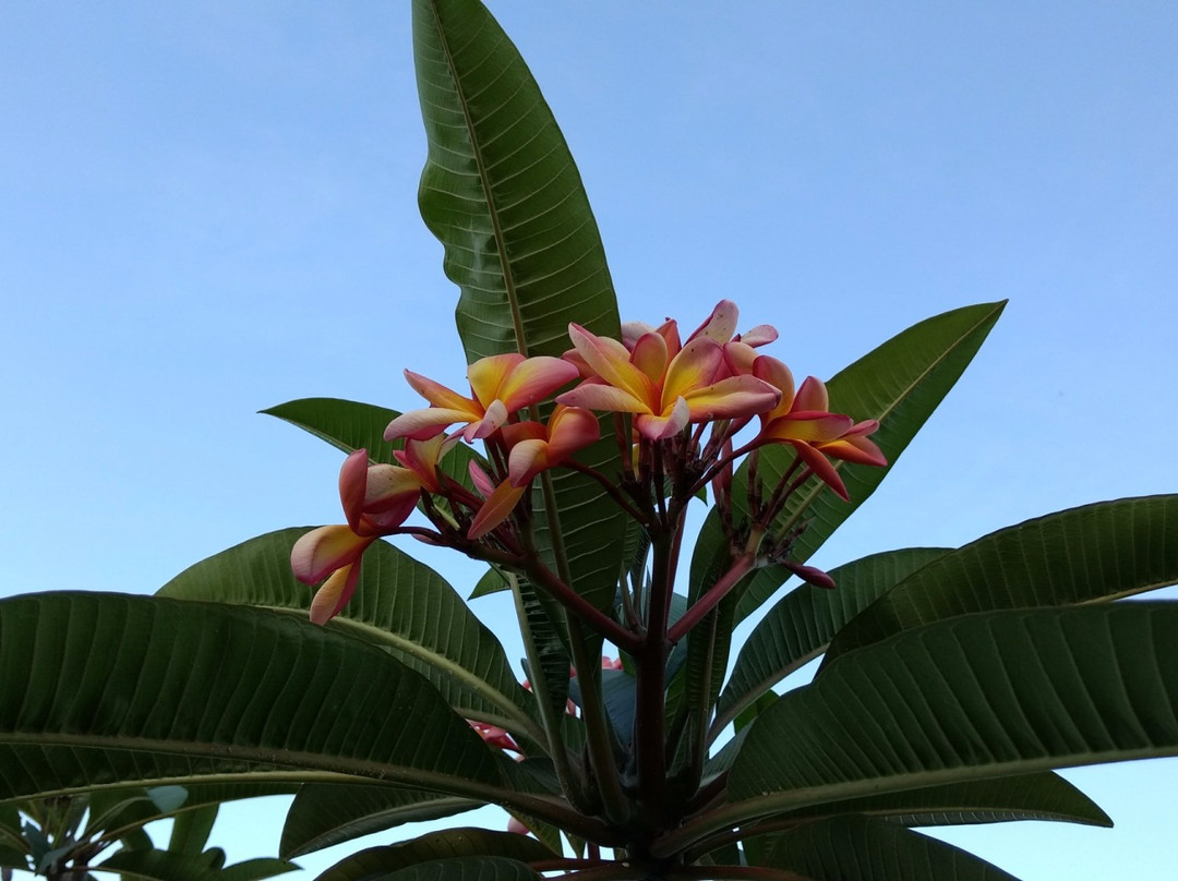 Pousada Novo Alvorecer主图