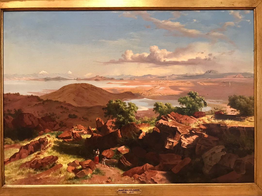 Museo de Arte del Estado de Veracruz景点图片