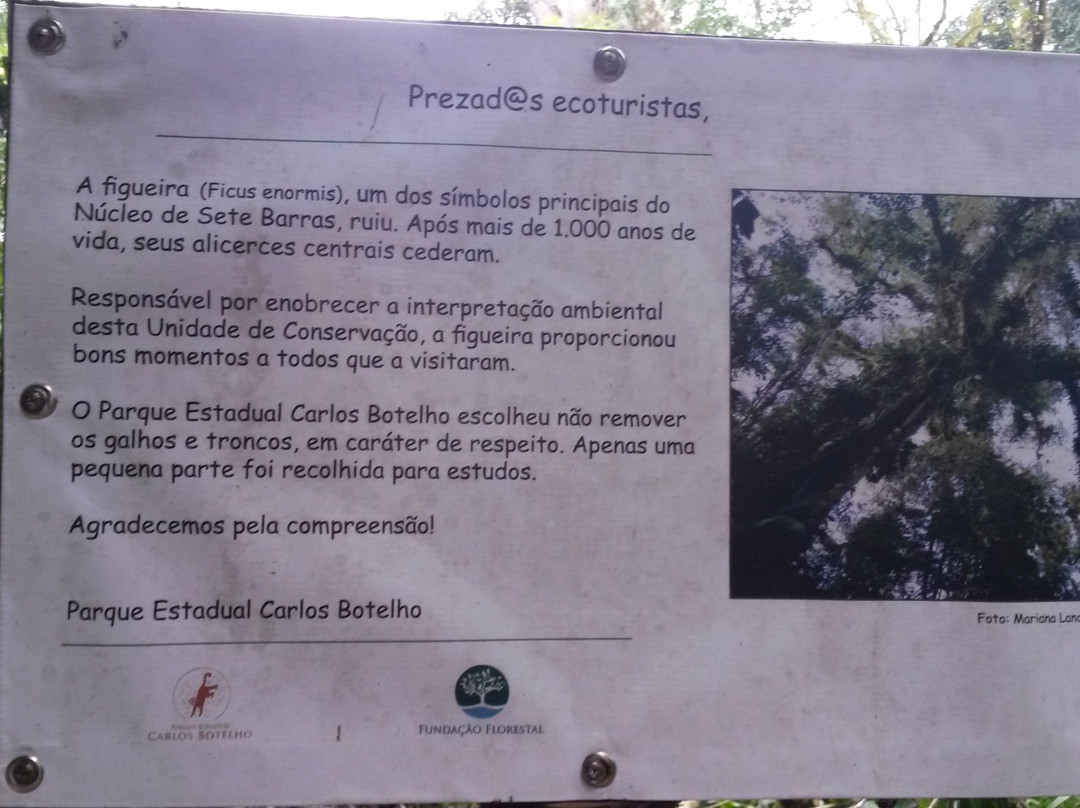 Trilha da Figueira-Sete Barras必去景点