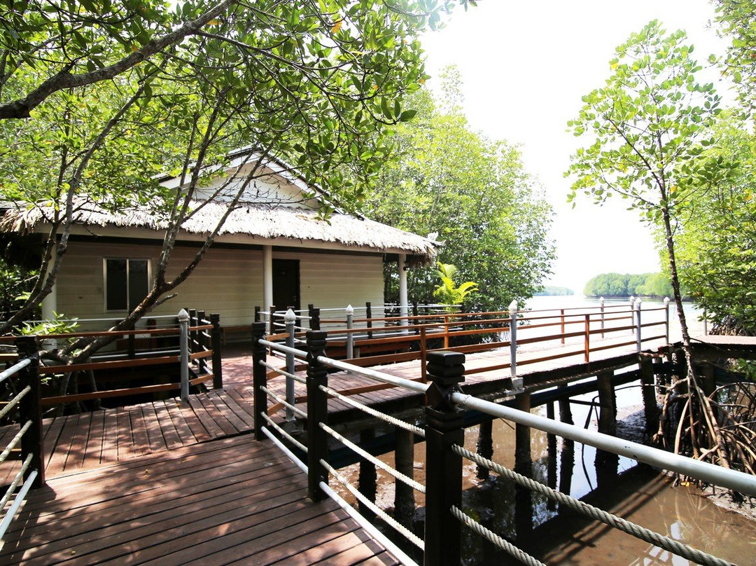 Mangrove Sanctuary Resort