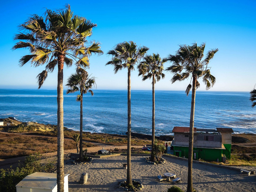 Coyote Cal's Mexico Hostels